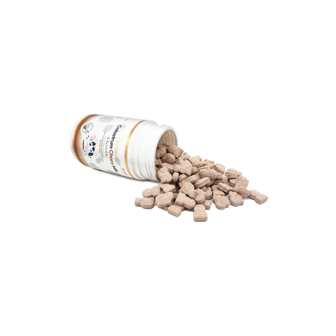 Hi Well Premium Colostrum Choco Milk Chewable New Zealand Bovine Colostrum Choco Flavoured