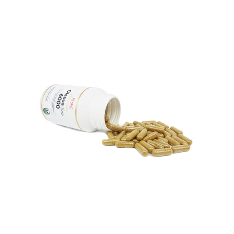 Hi Well Premium Cissus Soo 6000 120 Vege Capsule Opened bottle and capsules