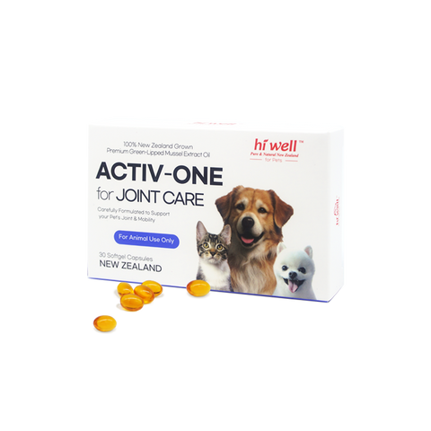 Hi Well Activ-One for Joint Care