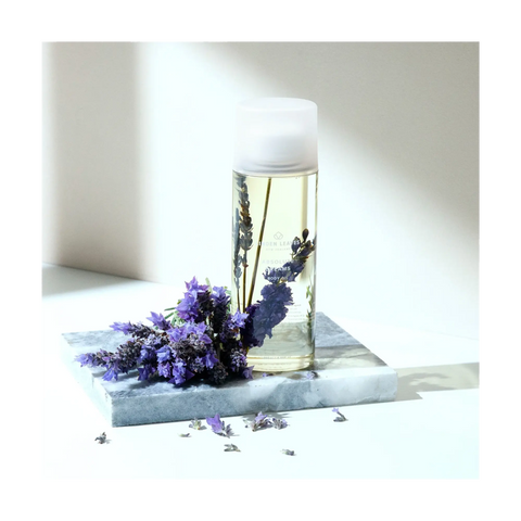 Linden Leaves Absolute Dreams Body Oil